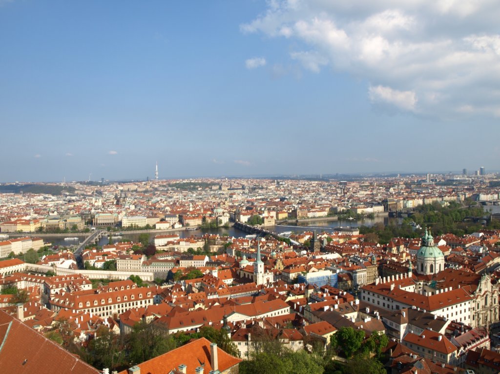 p4250290.jpg