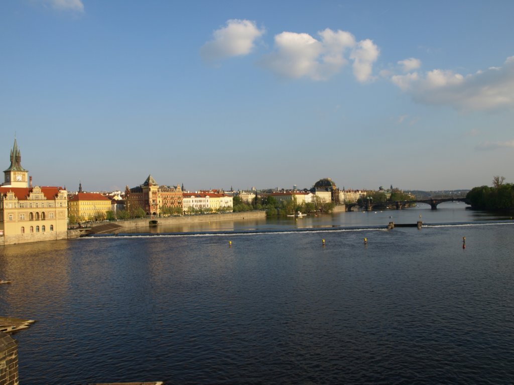 p4250339.jpg