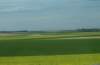 p4260384_small.jpg
