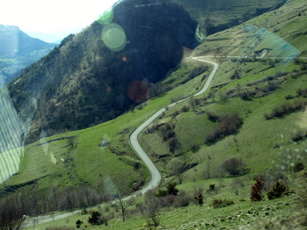 p4300759.jpg