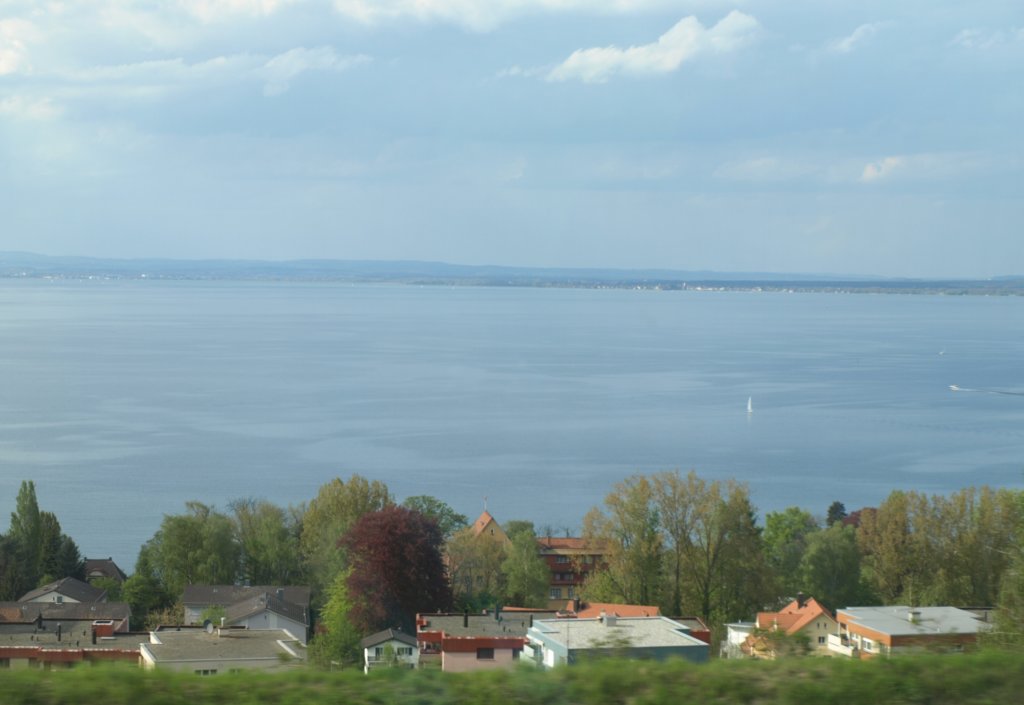 p5010843.jpg
